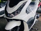 Honda PCX 2024