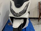 Honda PCX 2024