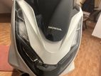 Honda PCX 2024