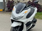 Honda PCX 2024