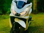 Honda PCX 2024
