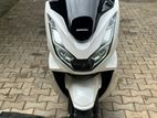 Honda PCX 2024