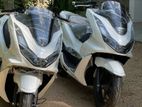 Honda PCX 2024