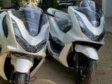 Honda PCX 2024