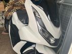 Honda PCX 2024