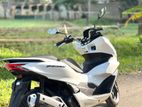 Honda PCX 2024