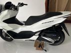 Honda PCX 2024