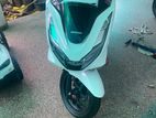 Honda PCX 2024