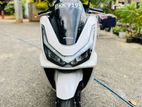 Honda PCX 2025 160CC