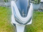 Honda PCX 2025