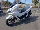 Honda PCX 2025