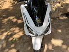 Honda PCX 2026