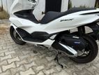 Honda PCX 2026