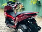 Honda PCX ABS 150 2019