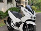 Honda PCX Angel Light 2020