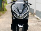 Honda PCX Angel Light 2020