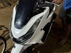 Honda PCX Brand New 2023