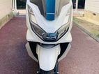 Honda PCX Brand New 2024