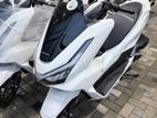 Honda PCX Honad PCX125 Japan 2025
