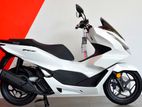 Honda PCX 2024