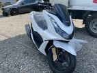 Honda PCX 125 2024