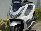 Honda PCX pcx125 2024