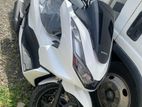 Honda PCX PCX160 2024