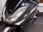 Honda PCX 2024