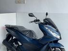 Honda PCX Rare Color 2024