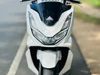 Honda PCX 2024