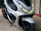 Honda PCX 2024