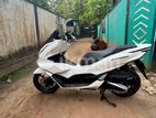 Honda PCX160 160 2024