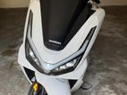 Honda PCX160 2025