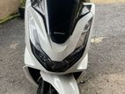 Honda PCX160 2024 2023