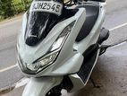 Honda PCX160 2024