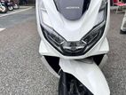 Honda PCX160 2024