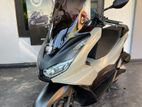 Honda PCX160 2024