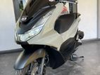 Honda PCX160 2024