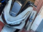 Honda PCX160 2025