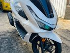 Honda PCX160 2025