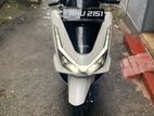 Honda PCX160 2025