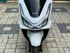Honda PCX160 2025