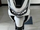 Honda PCX160 2025