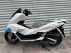 Honda PCX160 2025