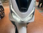 Honda PCX160 2025