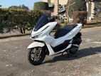 Honda PCX160 2025
