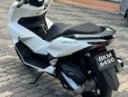 Honda PCX160 2025