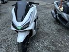 Honda PCX160 2025