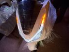 Honda PCX160 2025