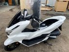 Honda PCX160 2025